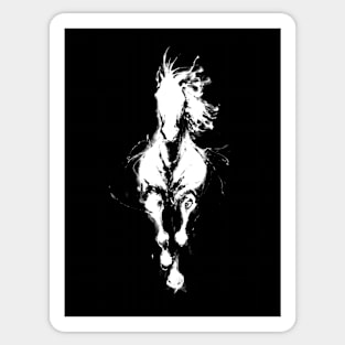 White horse Sticker